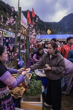 Du lịch cộng đồng vùng cao bứt phá chào năm mới