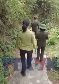 Vườn Quốc gia Hoàng Liên tăng cường phòng, chống cháy rừng mùa khô