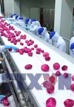 Hợp tác xã tìm chỗ đứng trong chuỗi liên kết kinh tế tư nhân