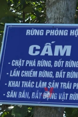 'Lợi kép' từ chủ trương giao, khoán bảo vệ rừng tại Quảng Ngãi