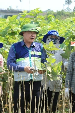 Triển khai truyền thông hướng dẫn khôi phục sản xuất sau mưa lũ