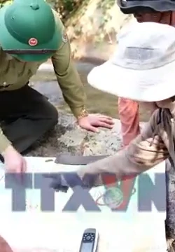 Những người phụ nữ K’Ho góp phần để rừng Sêrêpôk mãi xanh