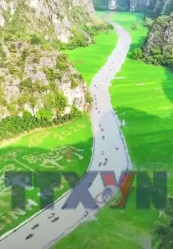 Bức tranh lúa khổ lớn giữa núi non Ninh Bình