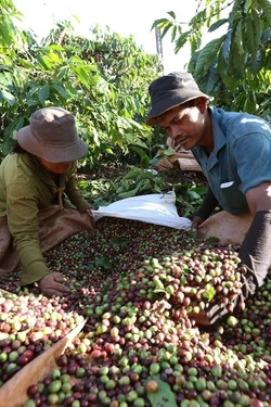 Phát triển vùng gắn với nâng cao đời sống người dân ở khu vực biên giới