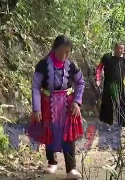 Người Mông Pà Cò giữ rừng để phát triển du lịch cộng đồng bền vững