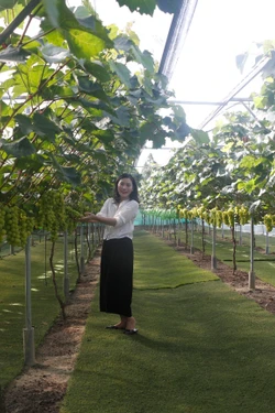 Du lịch Nghệ An dồn lực tái thiết