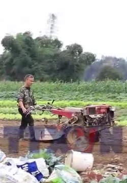 Lào Cai hỗ trợ khôi phục sản xuất nông nghiệp