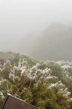 Triển khai nhiều biện pháp phòng, chống rét cho cây trồng, vật nuôi