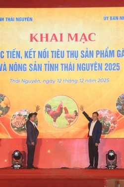 Xúc tiến thương mại, kết nối tiêu thụ sản phẩm gà đồi Tân Khánh