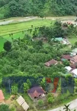 Thông tin mở lối để hộ nghèo Quảng Ngãi vươn lên