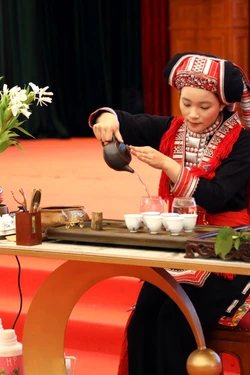 Quảng bá thương hiệu trà Shan tuyết