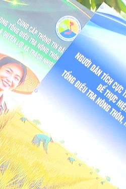 Bức tranh nông nghiệp, nông thôn sau sáp nhập