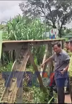 Truy tìm động vật lạ nghi cá sấu tại xã biên giới