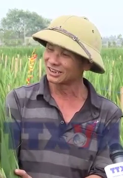 Phát triển vùng trồng hoa, cây cảnh gắn với du lịch nông thôn