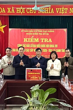 Chú trọng tuyên truyền về bầu cử, tạo sự đồng thuận xã hội