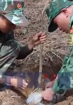 'Cột mốc xanh' nơi biên cương xứ Lạng