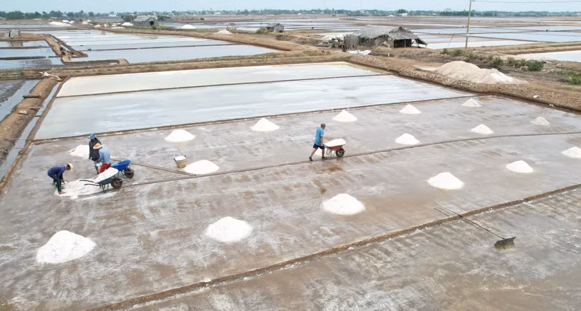 Sản phẩm du lịch muối Bạc Liêu - nhiều tiềm năng để khai thác