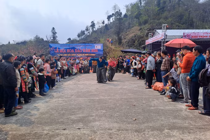 potal-le-hoi-hoa-dao-nam-2025-voi-chu-de-lung-linh-sac-dao-xuan-ve-bien-cuong-7914467.jpg