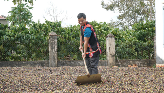 Ông Rơ Châm Djuk, trưởng thôn Châm Aneh, phường Chi Lăng, thành phố Pleiku (Gia Lai) đi đầu trong phong trào phát triển kinh tế cơ sở. Ảnh: Hồng Điệp - TTXVN potal-gia-lai-truong-thon-ro-cham-djuk-guong-mau-neu-cao-tinh-than-trach-nhiem-7787202.jpg