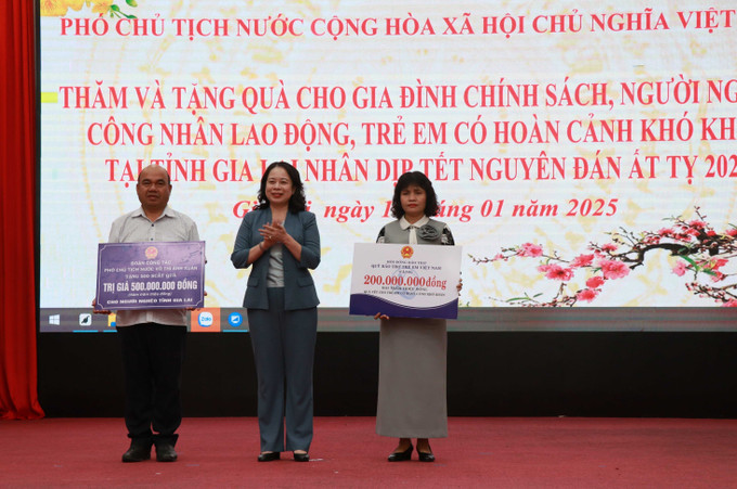 Phó Chủ tịch nước Võ Thị Ánh Xuân trao bảng tặng 500 suất quà cho người nghèo và 200 suất quà cho trẻ em khó khăn trên địa bàn tỉnh Gia Lai. Ảnh: Hồng Điệp - TTXVN potal-pho-chu-tich-nuoc-vo-thi-anh-xuan-tham-chuc-tet-tai-gia-lai-7806978.jpg