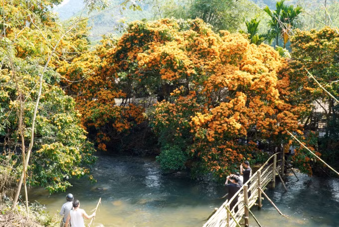 potal-day-manh-phat-trien-du-lich-cong-dong-tai-rung-trang-co-thu-suoi-ta-ma-7899434.jpg
