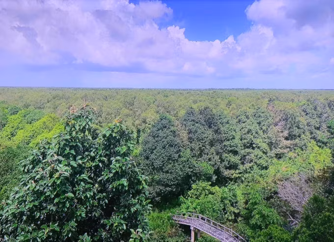 potal-lanh-dao-tinh-hau-giang-lam-viec-voi-tap-doan-sungroup-ve-du-an-du-lich-sinh-thai-khu-bao-ton-thien-nhien-lung-ngoc-hoang-7594341.jpg