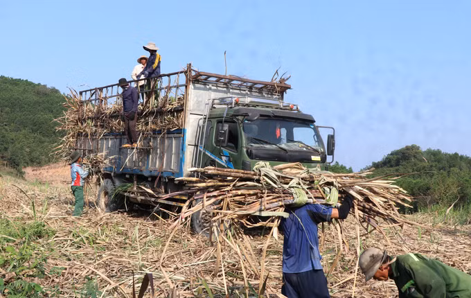 potal-mien-nui-phu-yen-khoi-sac-sau-50-nam-thong-nhat-dat-nuoc-7904111-1.jpg