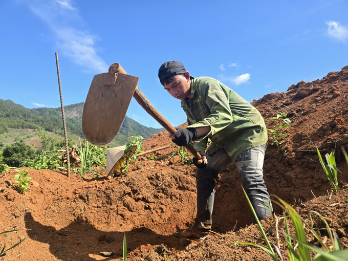 Anh A Kun ở xã Đăk Na, huyện Tu Mơ Rông (Kon Tum) quyết tâm ở lại quê hương làm ăn, sau khi được giải cứu khỏi các đối tượng lừa đảo ở Campuchia. Ảnh: Khoa Chương - TTXVN potal-loi-canh-tinh-tu-cam-bay-viec-nhe-luong-cao-7946599.jpg