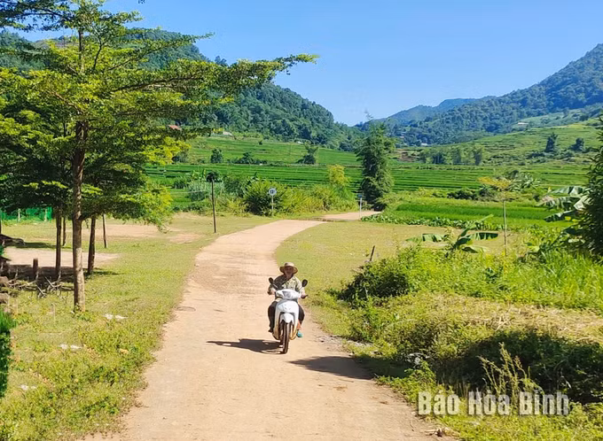 hoabinh3.jpg