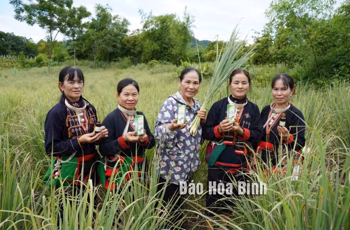 hoabinh.jpg