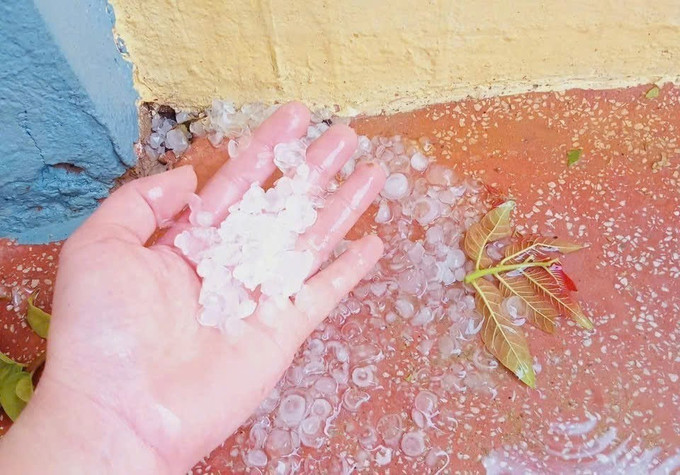 Những hạt mưa đá có đường kính từ 1-1,5 cm. Ảnh: TTXVN phát potal-mua-da-xuat-hien-o-huyen-bien-gioi-muong-lat-thanh-hoa-7909440.jpg