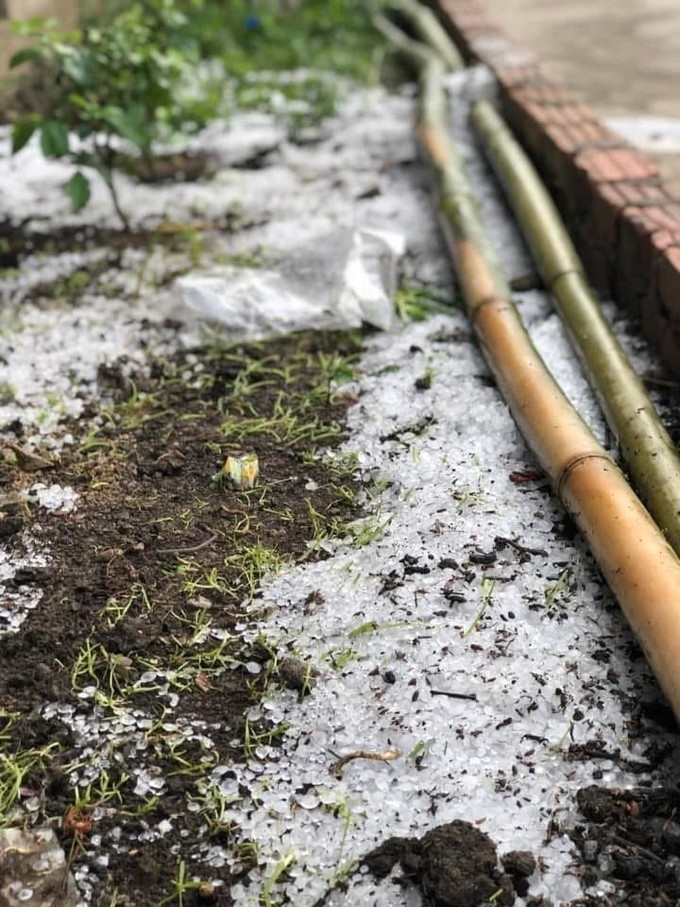 Trong cơn mưa đã xuất hiện những hạt mưa đá có đường kính từ 1-1,5 cm. Ảnh TTXVN phát potal-mua-da-xuat-hien-o-huyen-bien-gioi-muong-lat-thanh-hoa-7909441.jpg