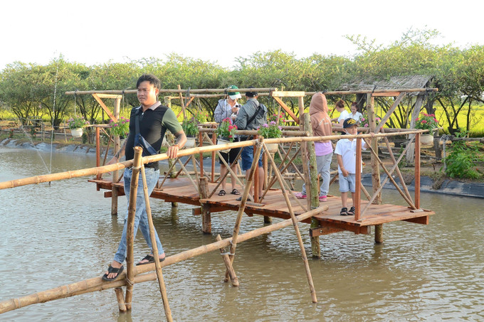 Các điểm du lịch ở nông thôn Tiền Giang thu hút đông đảo du khách. Ảnh: Hữu Chí - TTXVN potal-tien-giang-thu-hut-khach-du-lich-dip-tet-nguyen-dan-6556146.jpg