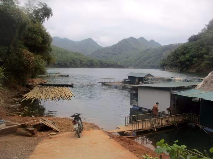 potal-thanh-hoa-nghe-nuoi-ca-long-tren-long-ho-thuy-dien-giup-nguoi-dan-mien-nui-thoat-ngheo-7916274.jpg