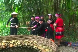 Nông nghiệp tuần hoàn gắn với du lịch trải nghiệm ở nông thôn