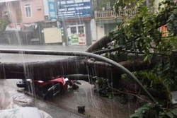 Mưa dông gây thiệt hại nhiều nơi tại Cao Bằng