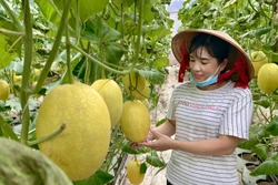 Nông thôn mới nâng tầm thương hiệu nông sản