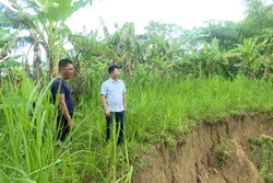 Thanh Hóa: Người dân bất an vì sạt lở bờ đê sông Chu