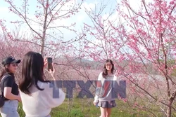 Khởi sắc du lịch Điện Biên đầu năm 2026