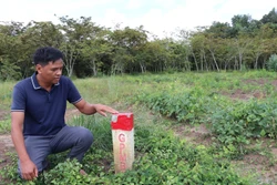 Người dân đồng thuận giao đất cho dự án cao tốc Gia Nghĩa - Chơn Thành