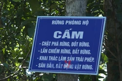 'Lợi kép' từ chủ trương giao, khoán bảo vệ rừng tại Quảng Ngãi