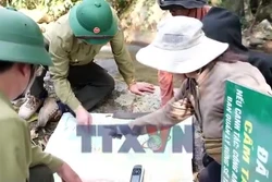 Những người phụ nữ K’Ho góp phần để rừng Sêrêpôk mãi xanh