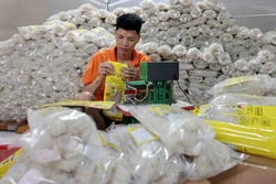 Hơn 70% hợp tác xã ở Thái Nguyên liên kết tiêu thụ sản phẩm với doanh nghiệp