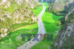 Bức tranh lúa khổ lớn giữa núi non Ninh Bình