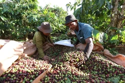 Phát triển vùng gắn với nâng cao đời sống người dân ở khu vực biên giới