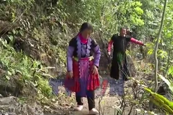 Người Mông Pà Cò giữ rừng để phát triển du lịch cộng đồng bền vững