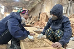 Đổi mới toàn diện, nâng cao chất lượng đào tạo nghề cho lao động nông thôn