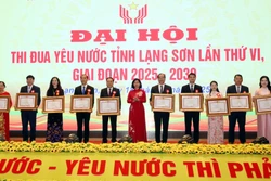 Phong trào thi đua yêu nước hướng đến giải quyết những vấn đề trọng tâm, cấp bách