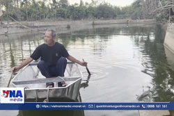 Khơi lại mùa nước lành