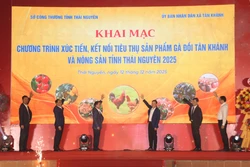 Xúc tiến thương mại, kết nối tiêu thụ sản phẩm gà đồi Tân Khánh